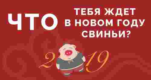 Что тебя ждет в Новом году Свиньи 2019?