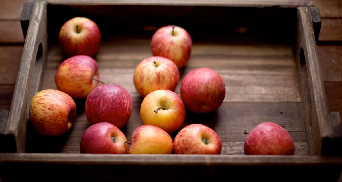 Яблочная пора: почему стоит полюбить яблоки