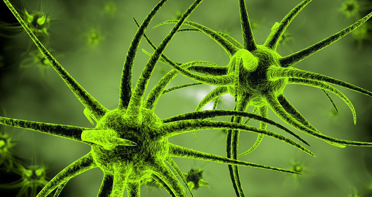 Честные ответы на главные вопросы о коронавирусе