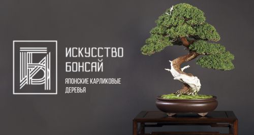 Магазин деревьев «Искусство Бонсай»