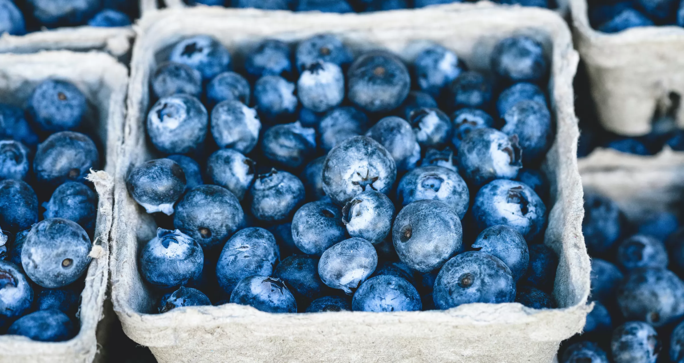 Голубика сахар на 100 г. Имунеле. Сахарозаменитель коробка. Голубика якутская. Голубика с сахаром на зиму без варки.