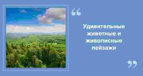 Национальные парки и заповедники России, которые стоит посетить