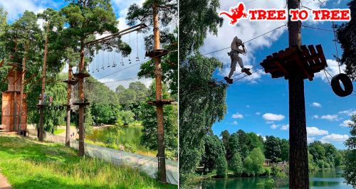 Веревочный парк «TreeToTree Озерки»