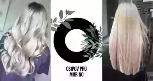 Скидки до 60% на услуги для волос в «Осипов имидж-студии | Pro Murino»