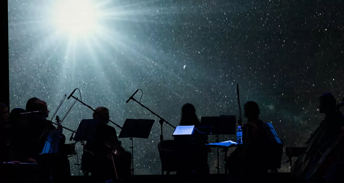 Камерный оркестр Nella Musica Orchestra